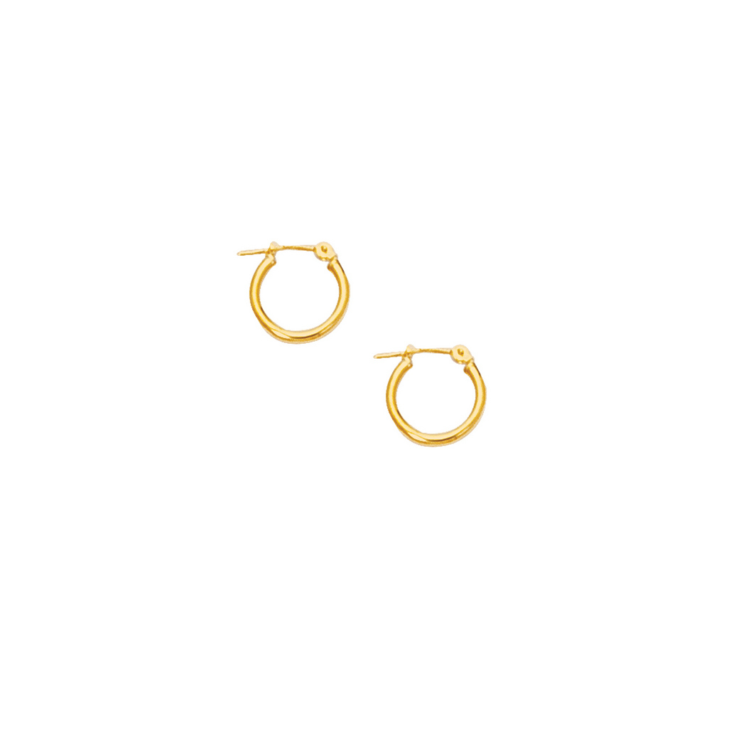 
10k Yellow Gold 2.0mm Shiny Small Round Hoop Type Earrings With Hinged Clasp
