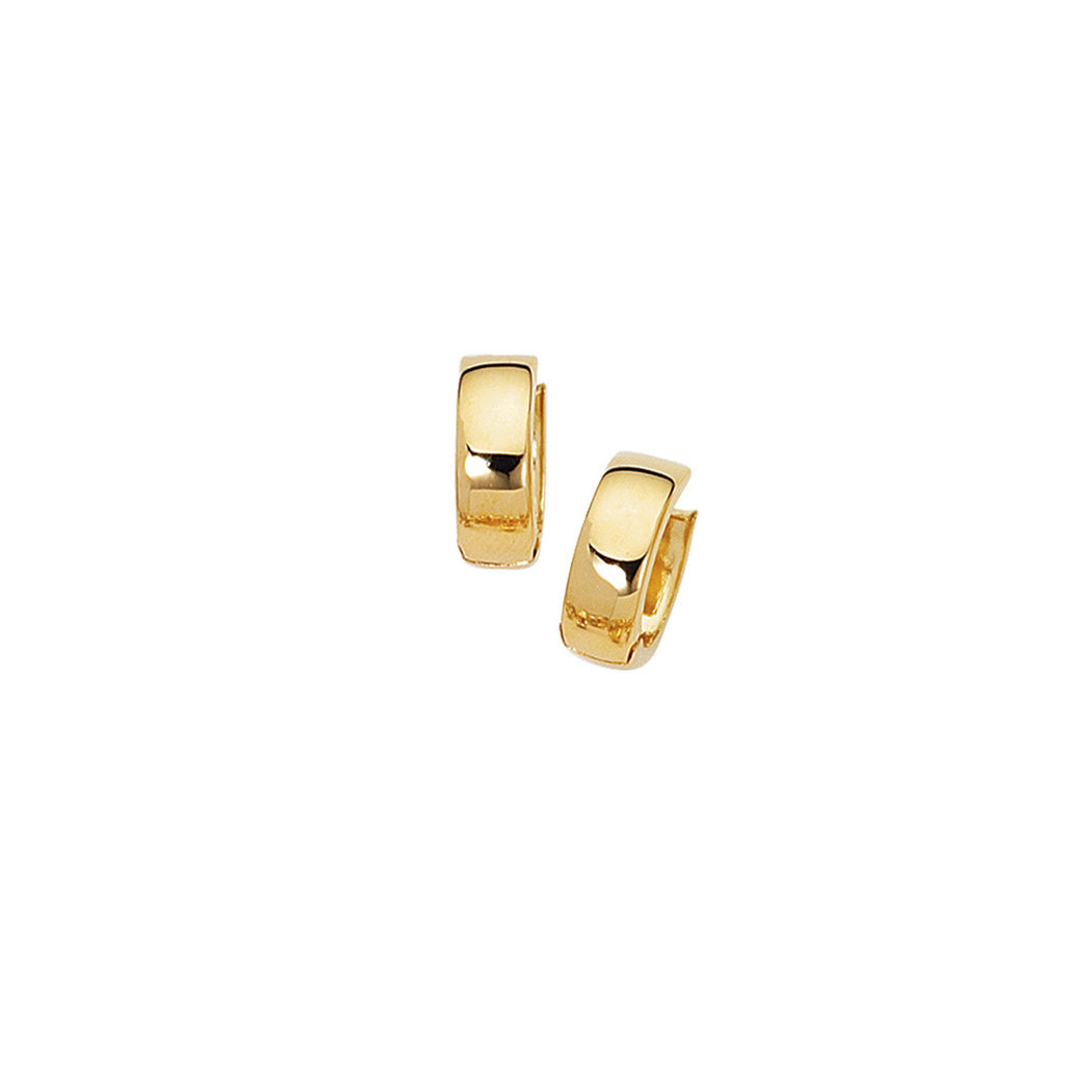 
14k Yellow Gold Shiny 5.0mm Hinged Earrings Earrings

