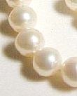 
10-11mm Round Freshwater Pearl Strand
