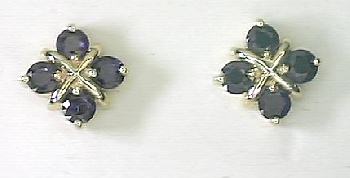 
Elegant Sapphire Earrings
