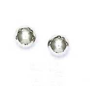 
14k White Gold 6 mm Ball Friction-Back Post Stud Earrings
