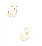 
14k Yellow Gold Initial J Friction-Back Post Earrings
