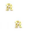 
14k Yellow Initial R Friction-Back Earrin
