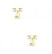 
14k Yellow Initial T Friction-Back Earrin
