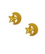 
14k Yellow Moon and Star Friction-Back Ea
