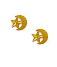
14k Yellow Gold Moon and Star Friction-Back Post Earrings

