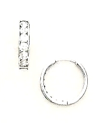 
14k White 2.5 mm Round Cubic Zirconia Hinged Earrings
