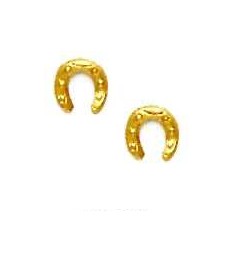
14k Yellow Gold Horse Shoe Friction-Back Post Earrings
