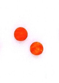
14k Yellow Gold 6 mm Round Orange Simulated Coral Earrings
