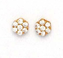
14k Yellow Gold 2.5 mm Round Cubic Zirconia Small Flower Earrings
