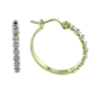 
10k Yellow Hoop Diamond Earrings
