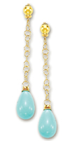 
14k Yellow Elegant Drop Turquoise Earring
