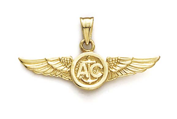 
14k Yellow Gold US Air Force Air Crew Wing Pendant
