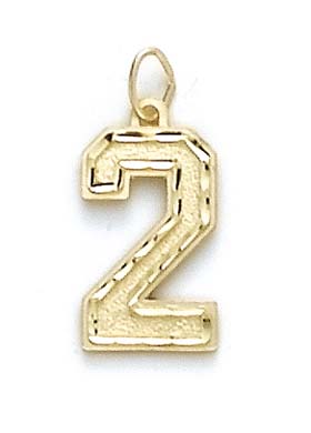 
14k Yellow Gold Large Sports Number 2 Pendant
