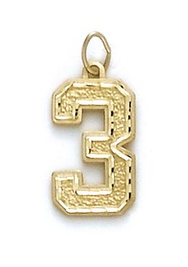 
14k Yellow Gold Large Sport Number 3 Pendant
