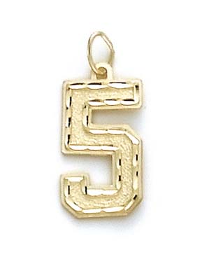 
14k Yellow Gold Large Sports Number 5 Pendant
