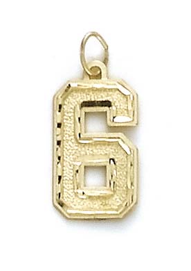 
14k Yellow Gold Large Sports Number 6 Pendant

