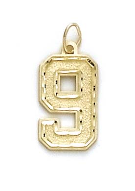 
14k Yellow Gold Large Sports Number 9 Pendant

