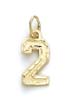 
14k Small Sport Number 2 Pendant
