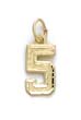 
14k Small Sport Number 5 Pendant
