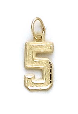 
14k Yellow Gold Small Sport Number 5 Pendant
