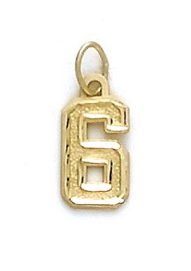 
14k Yellow Gold Small Sport Number 6 Pendant
