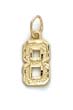 
14k Small Sport Number 8 Pendant
