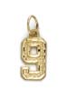 
14k Small Sport Number 9 Pendant
