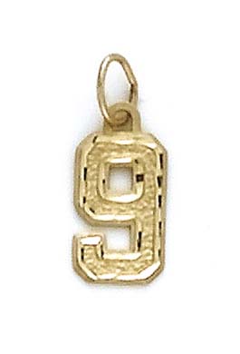 
14k Yellow Gold Small Sport Number 9 Pendant
