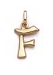 
14k Polished Initial F Pendant 11/16 Inch
