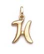 
14k Polished Initial H Pendant 11/16 Inch
