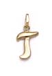 
14k Polished Initial T Pendant 11/16 Inch
