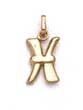 
14k Polished Initial X Pendant 11/16 Inch

