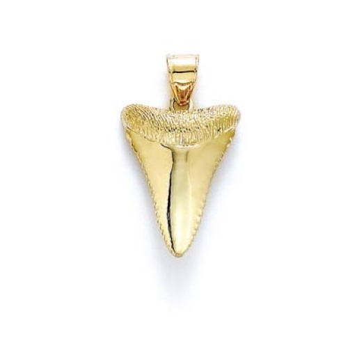 
14k Yellow Gold Polished Shark Tooth Pendant
