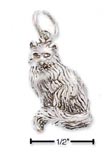 
Sterling Silver Small Long Haired Cat Wit
