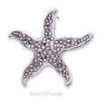 
Sterling Silver Marcasite Starfish Pin (A

