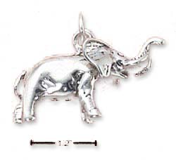 
Sterling Silver High Polish Elegant African Elephant Charm
