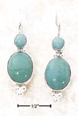 
Sterling Silver Oval Turquoise Dangle Ear
