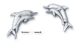 
Sterling Silver Satin and DC Double Dolphin Post Earrings
