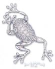 
Sterling Silver 46mm Long Frog Pin With C
