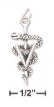
Sterling Silver Veterinary Symbol Charm V
