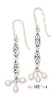 
SS Double Scroll Design Earrings With FW 
