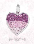 
SS Heart Charm Filled With Various Shades
