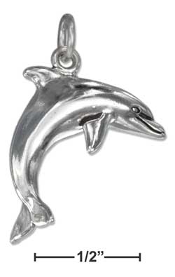 
Sterling Silver Medium High Polish Dolphin Charm
