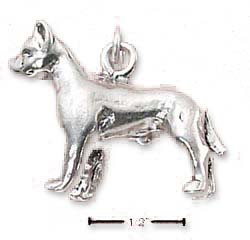 
Sterling Silver American Staffordshire Terrier
