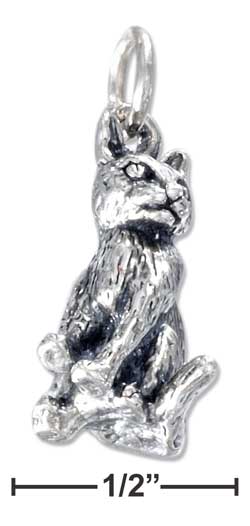 
Sterling Silver 3d Antiqued Sitting Cat Charm
