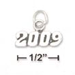 
Sterling Silver Antiqued Bold 2009 Charm
