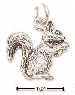 
Sterling Silver Squirrel With Nut Charm
