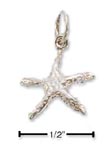
Sterling Silver Small Starfish Charm
