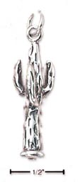 
Sterling Silver Saguaro Cactus Charm
